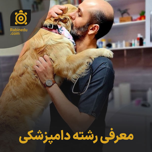 معرفی رشته دامپزشکی