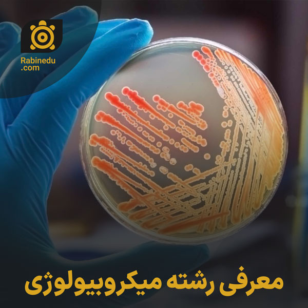 معرفی رشته میکروبیولوژی